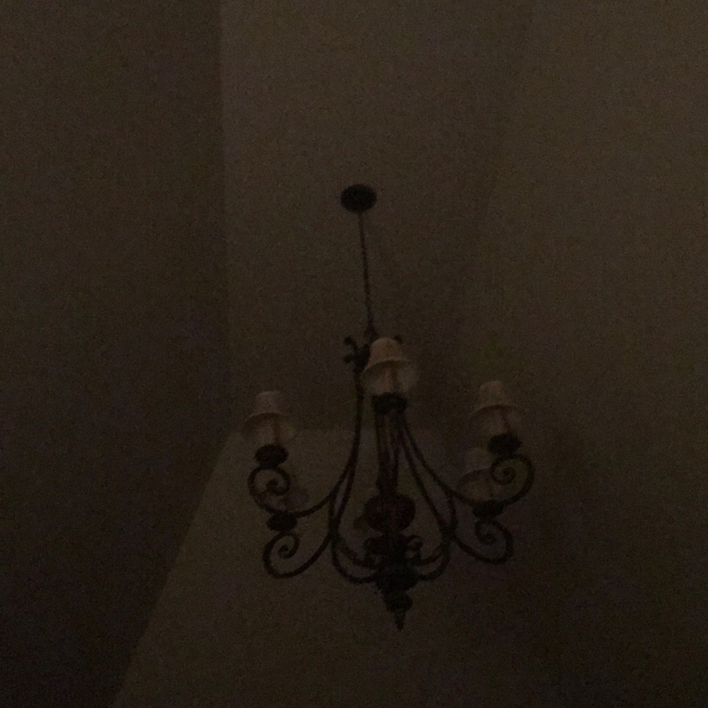 Meet your Posher, Dianna